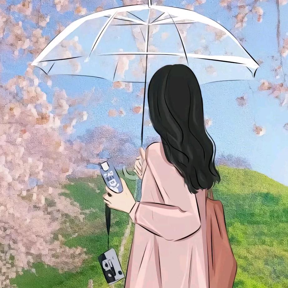 毛毛草