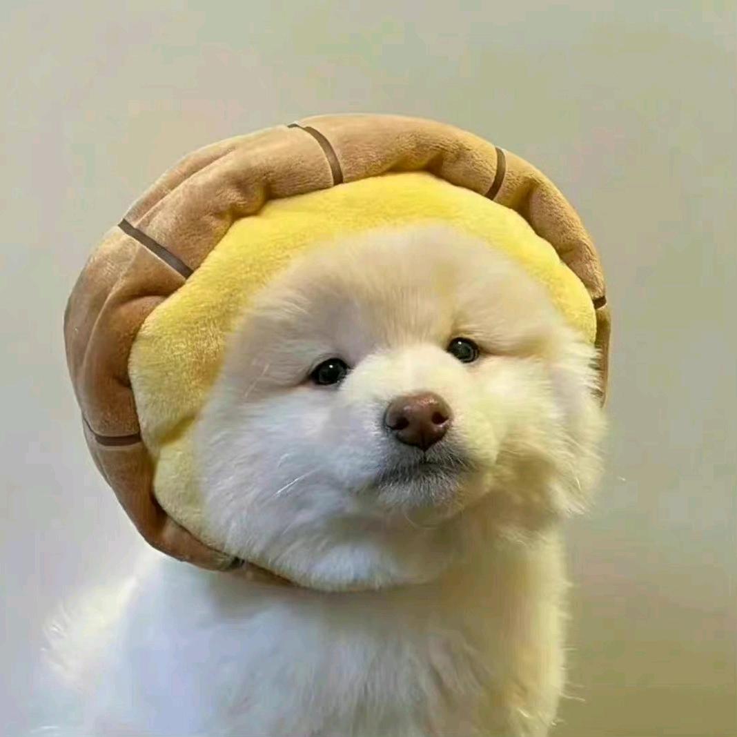 桃酱
