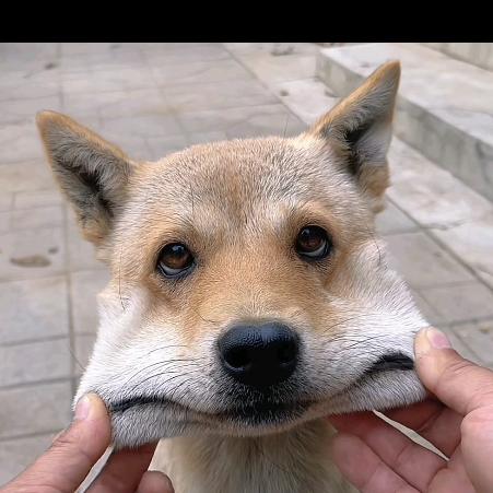 乖乖₍˄·͈༝·͈˄*₎◞ ̑̑