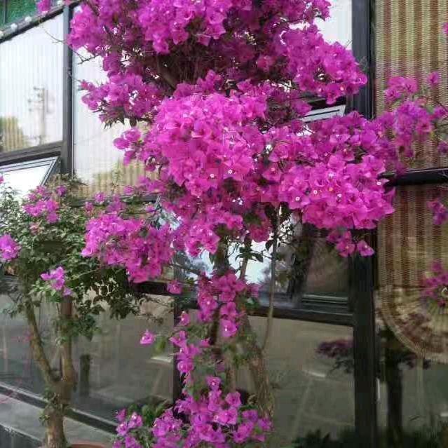 孝昌至襄阳班车