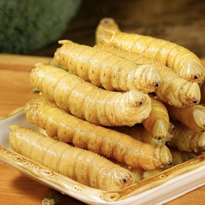 同彬虫业（昆虫批发零售）