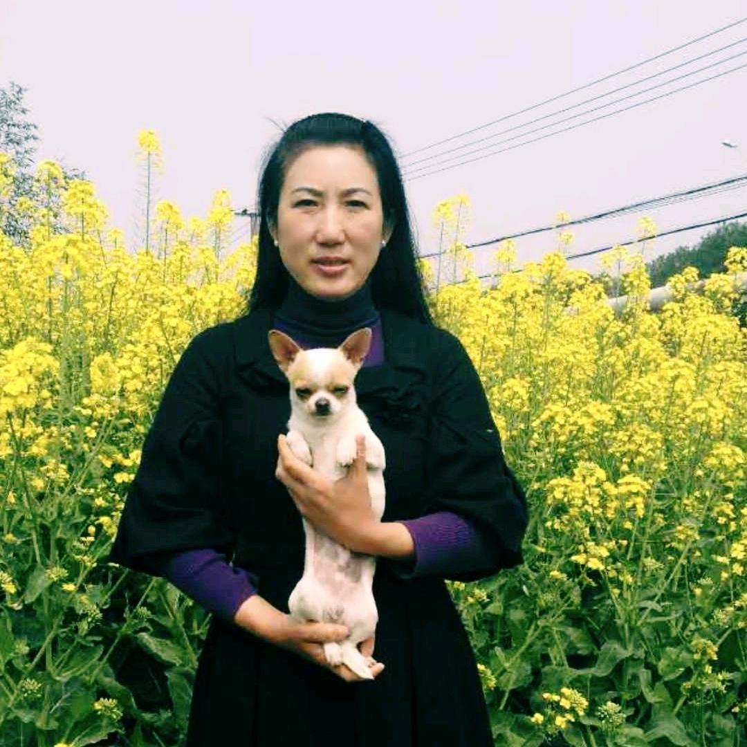 周凤飞