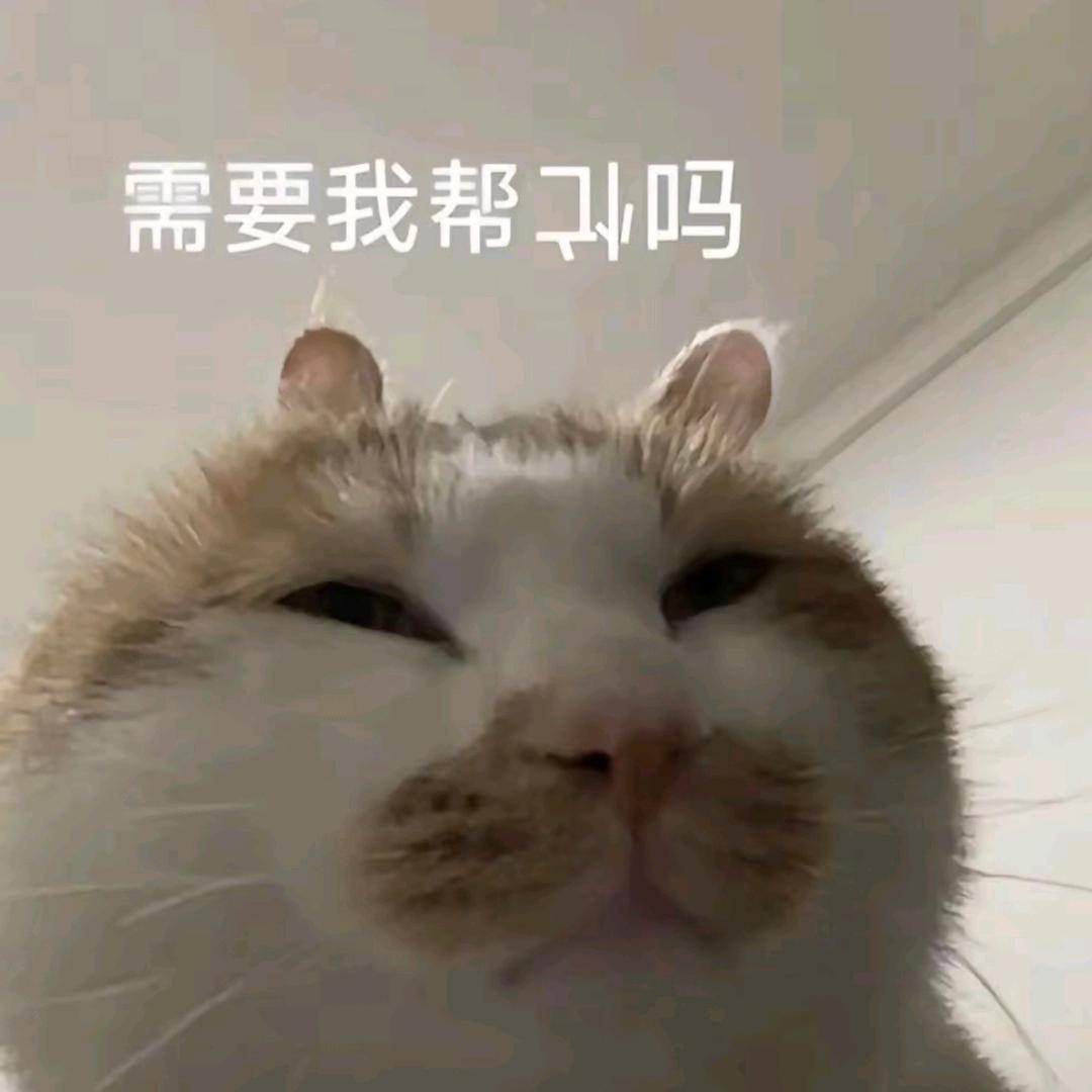 软面包