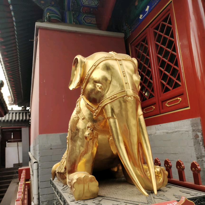 三维 筋骨 推拿