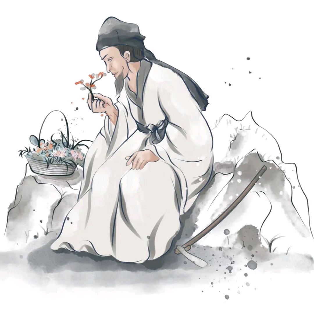 唐不再高