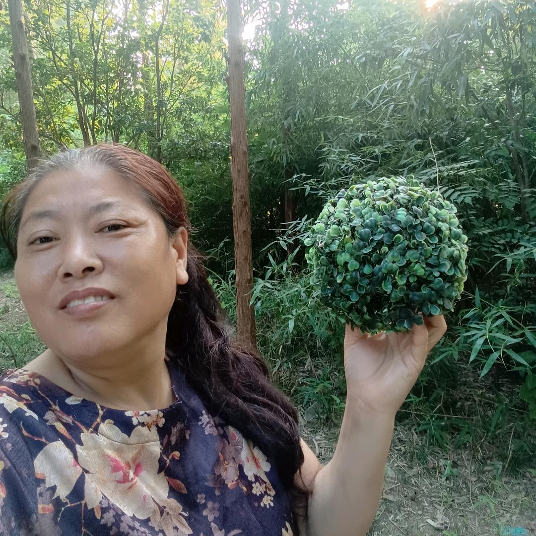 安徽宝妈