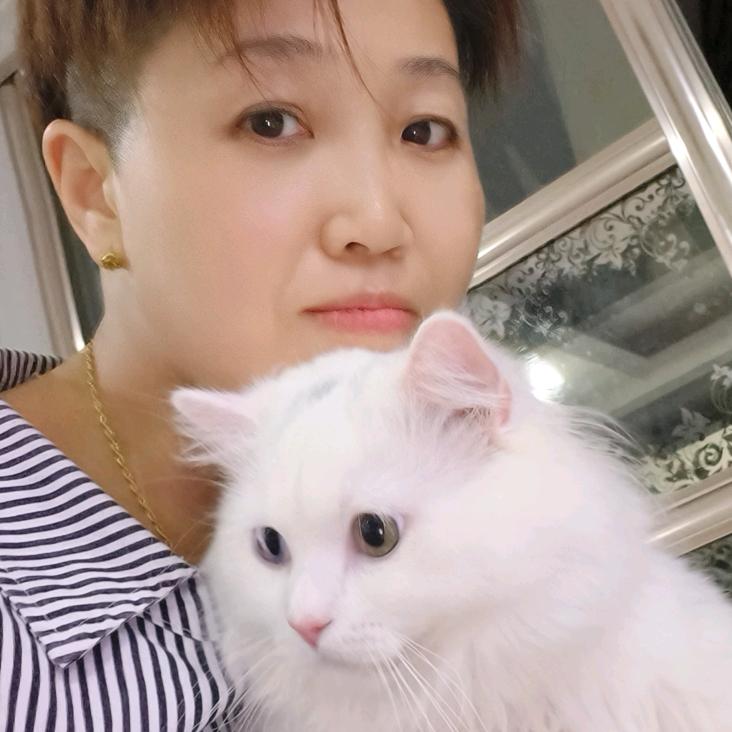 一言难尽