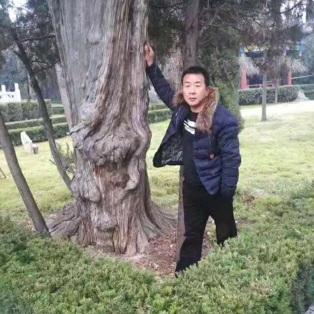 魏来有你