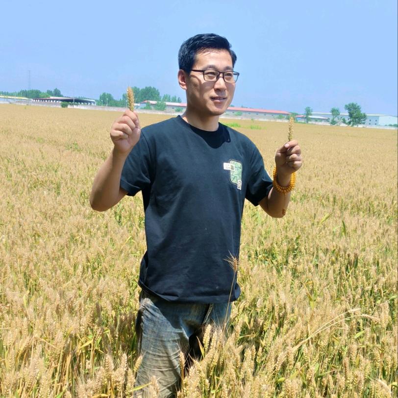 佳哥的村庄
