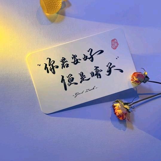 南李集 简约女装