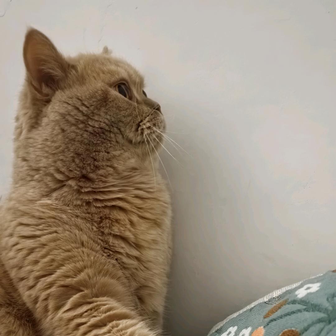 皮皮皮皮皮皮皮皮