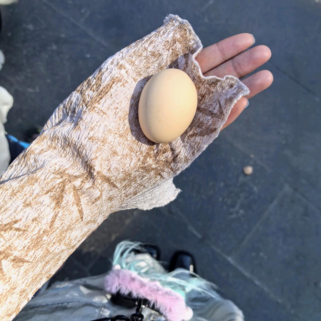 挖墙角的吃瓜人