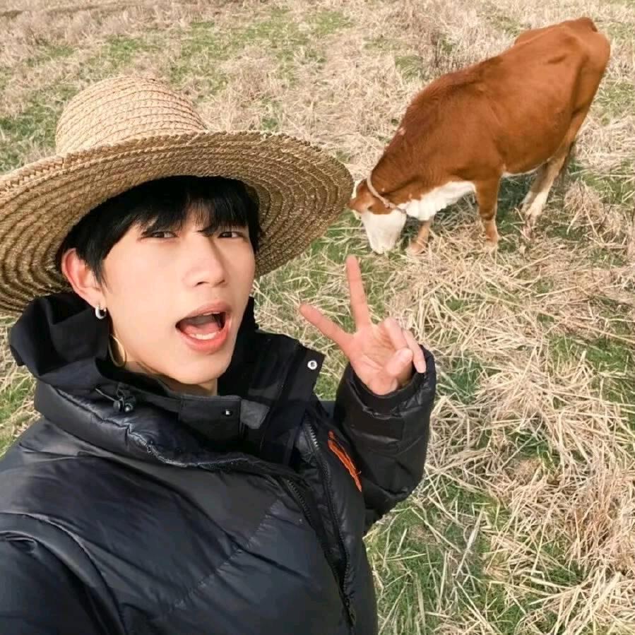 斓莓（剪辑版）