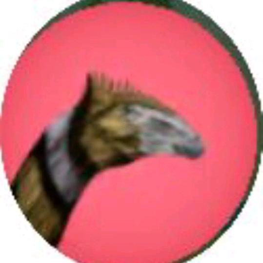 诅咒之岛（死水）