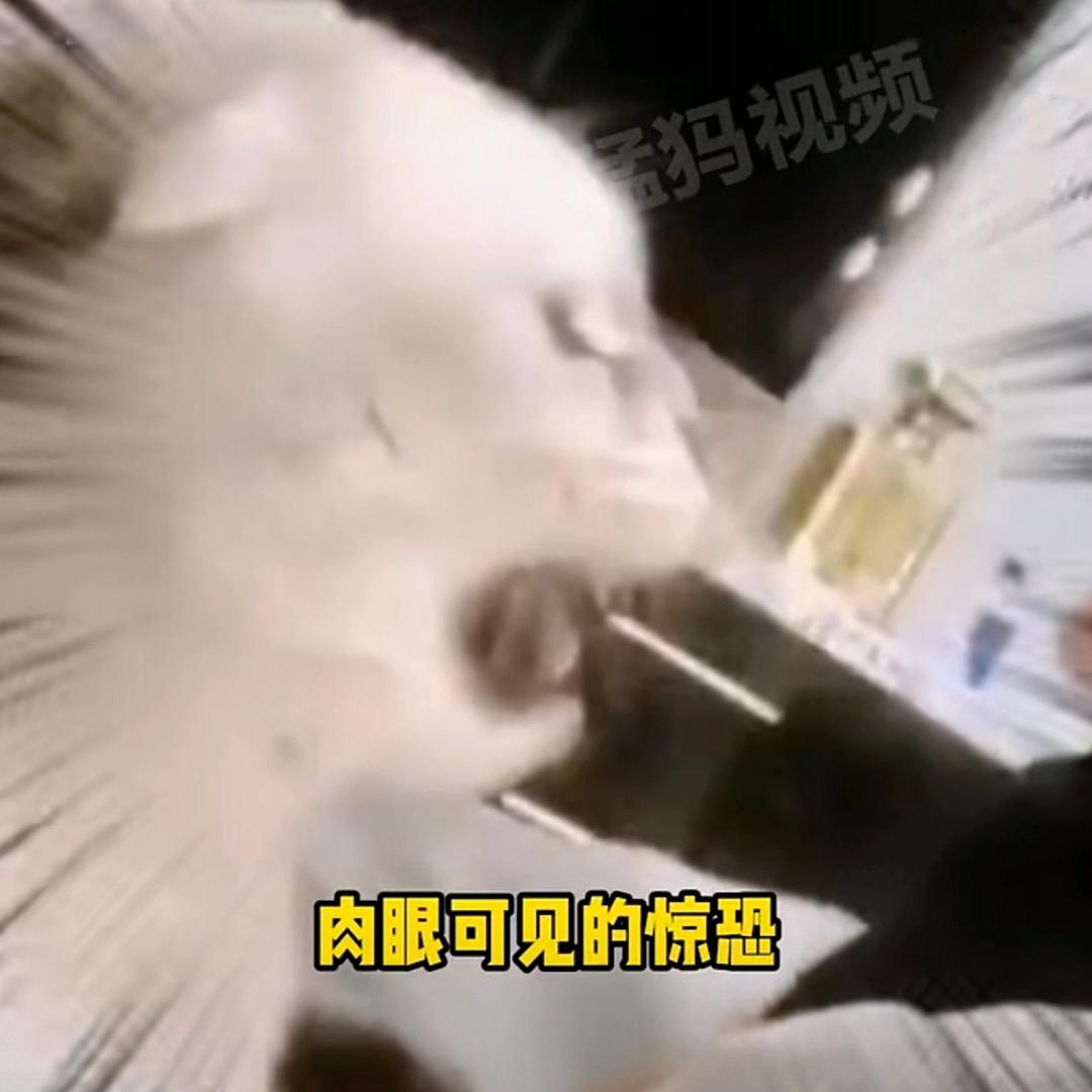 持墨