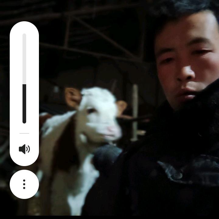 姚亮亮