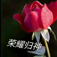 快乐每一天（我是罪人中的罪魁）