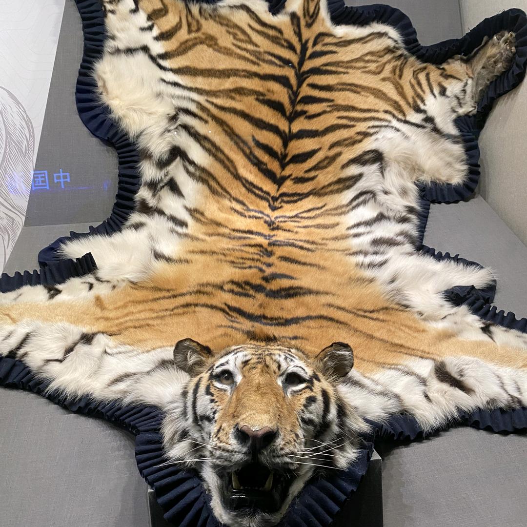 龙口市东莱广晓二手车中介服务部（和平车行