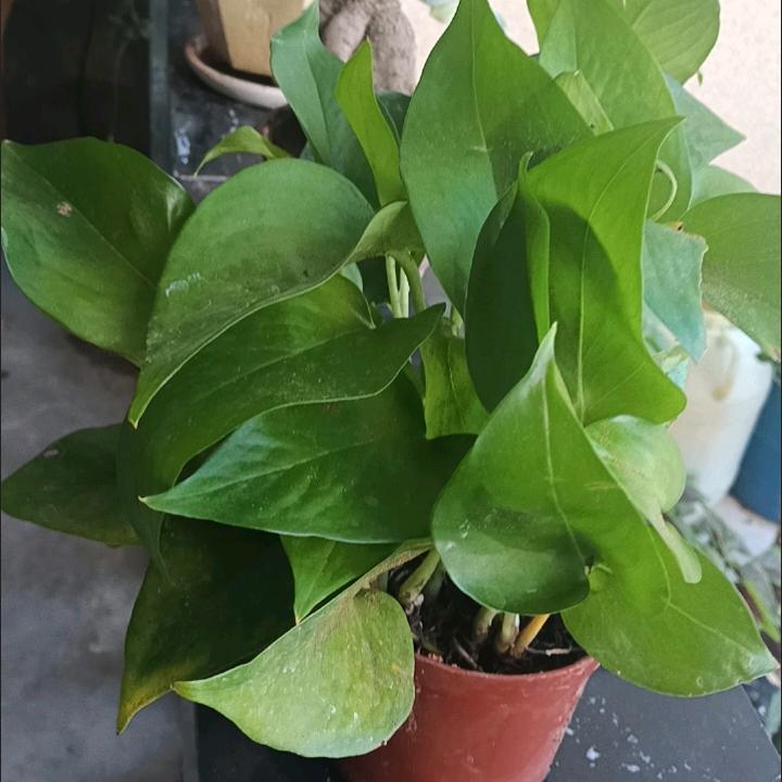 在水一方-