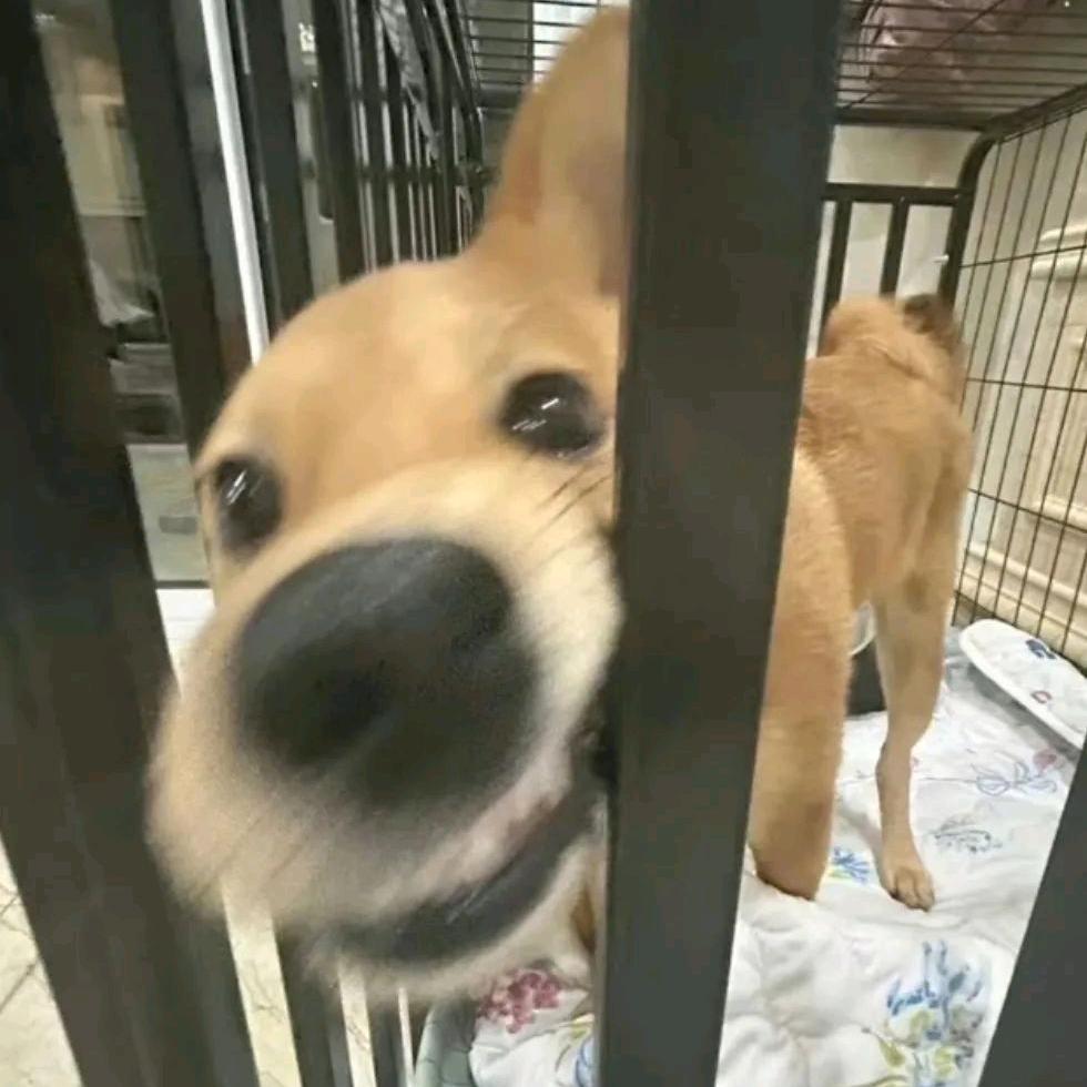 小文的车库
