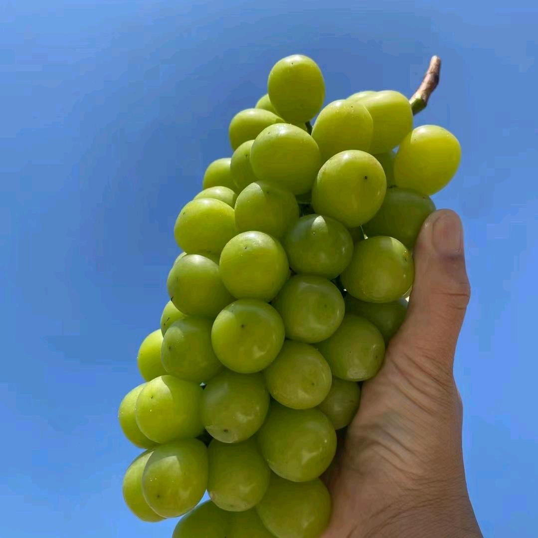 美美呀^O^