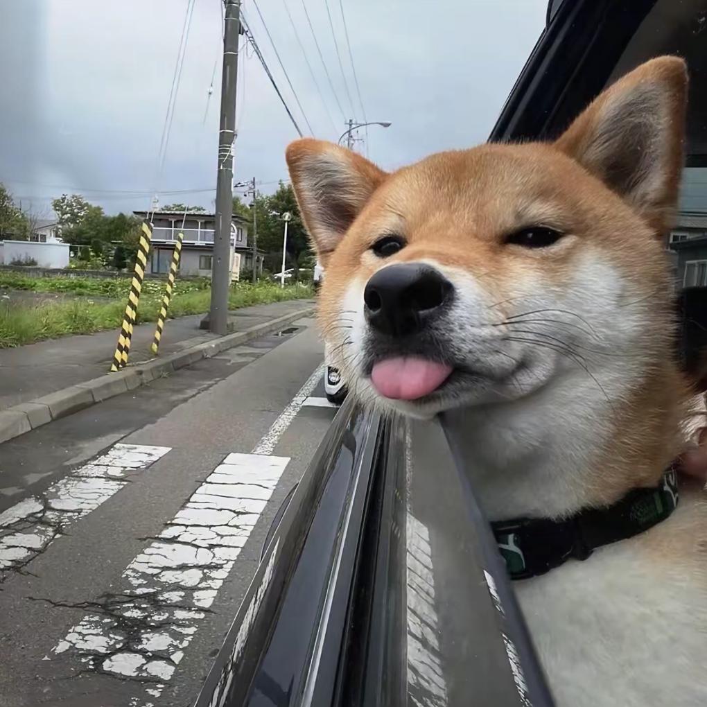 拉姆比