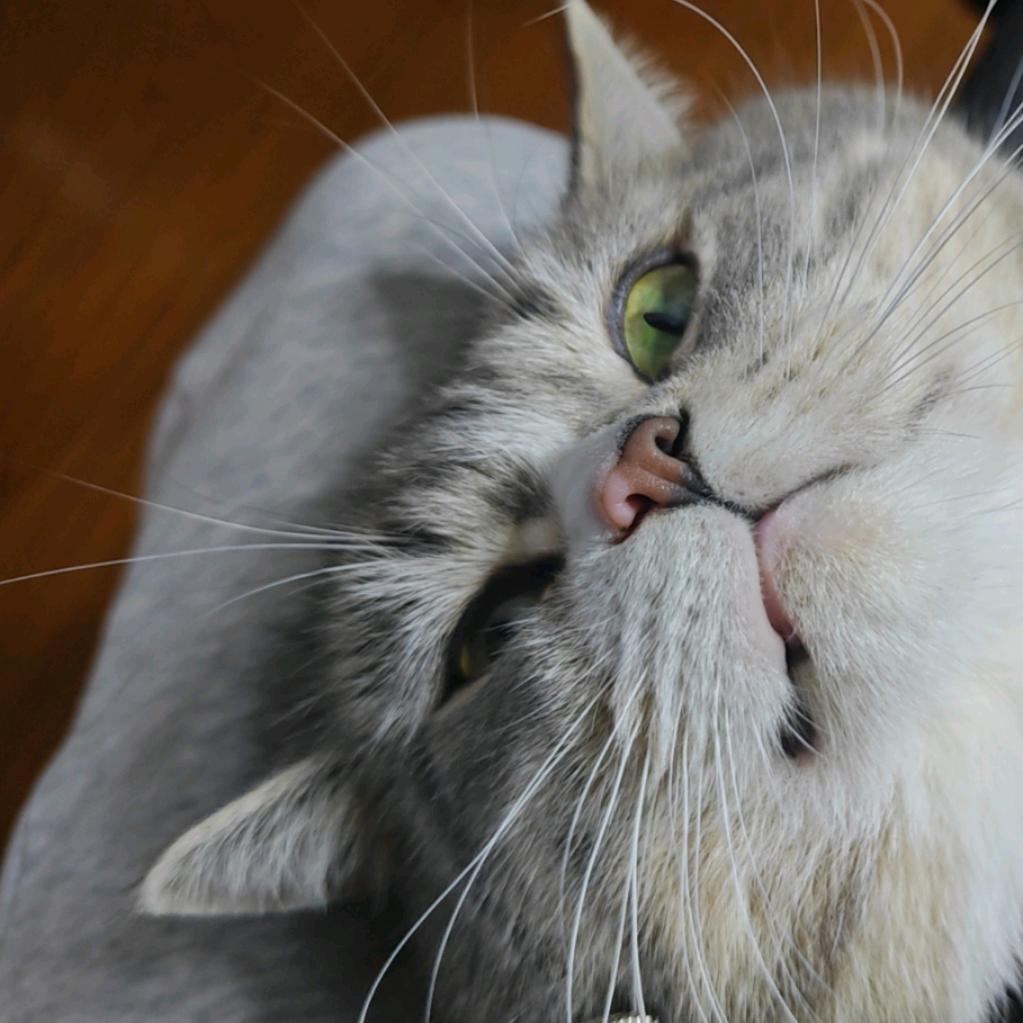 到底是谁偷走我的富二代生活