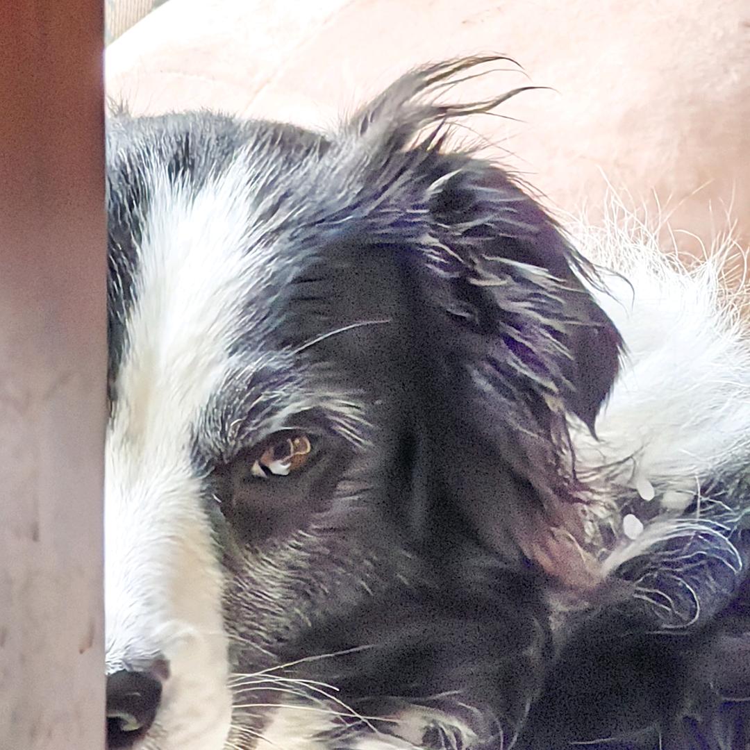 炫饭一般般的啦