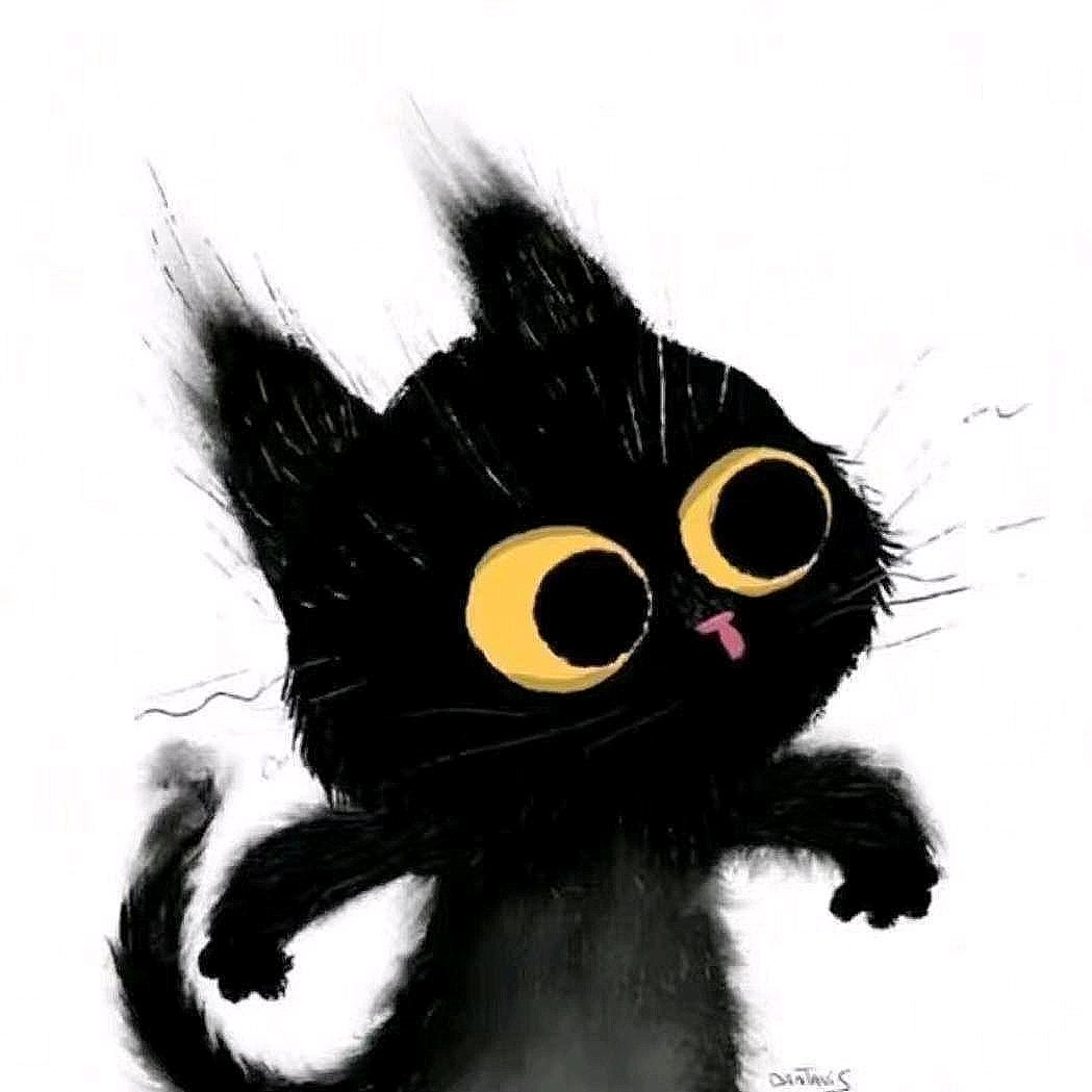 睡在钢琴上的猫