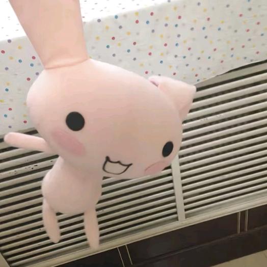 早八大大