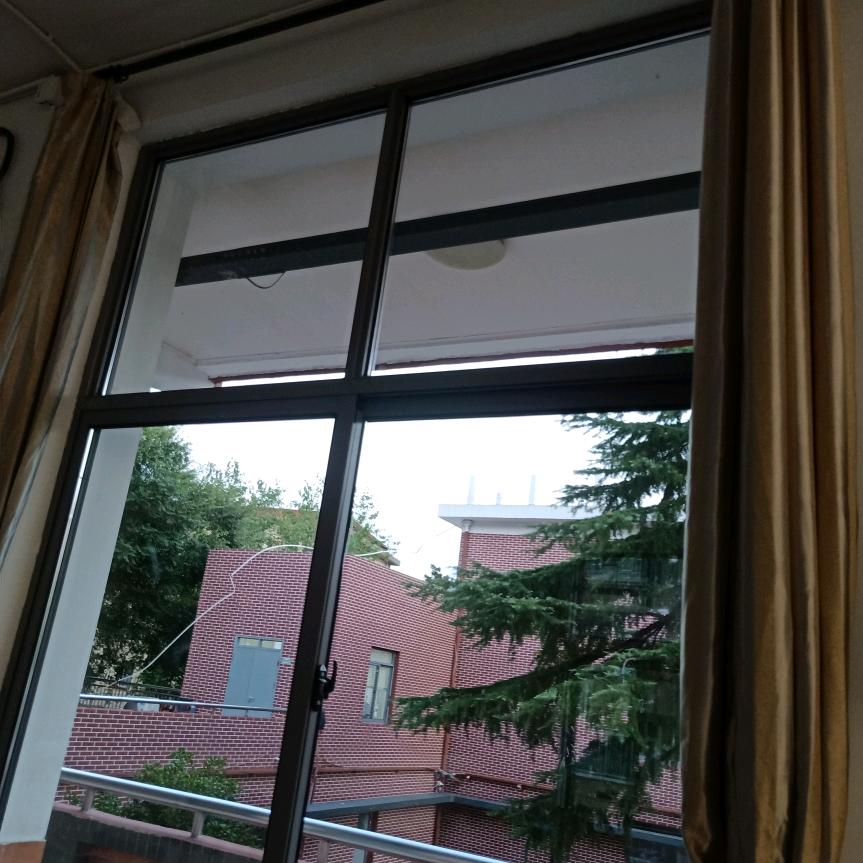 玲洁