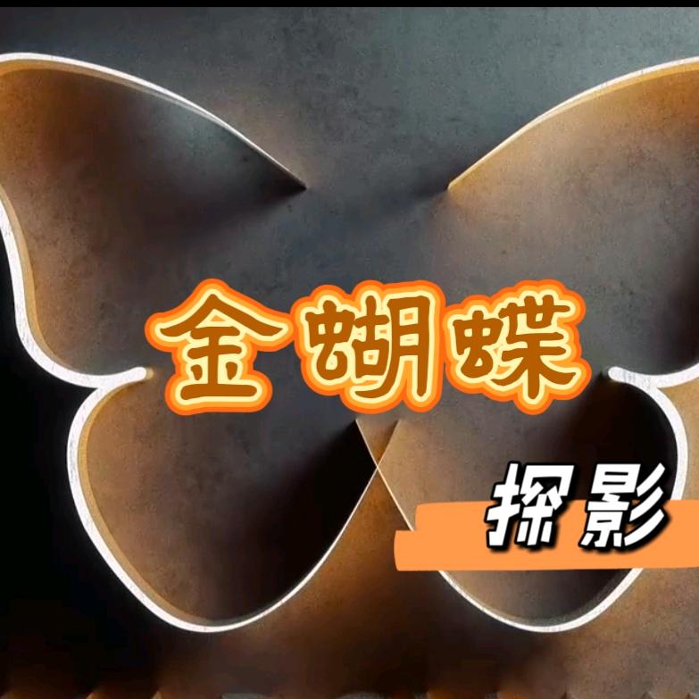 @金蝴蝶探影