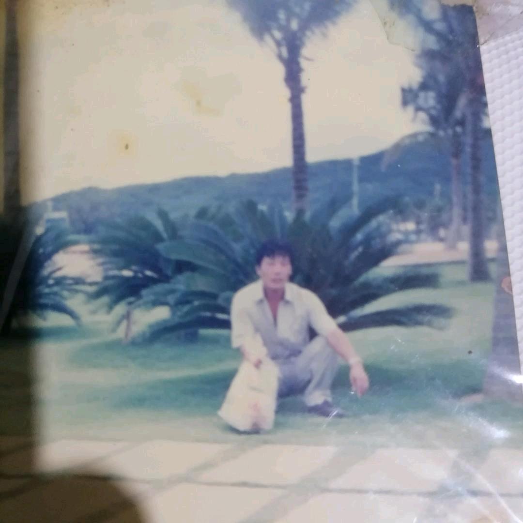 蛇年来了