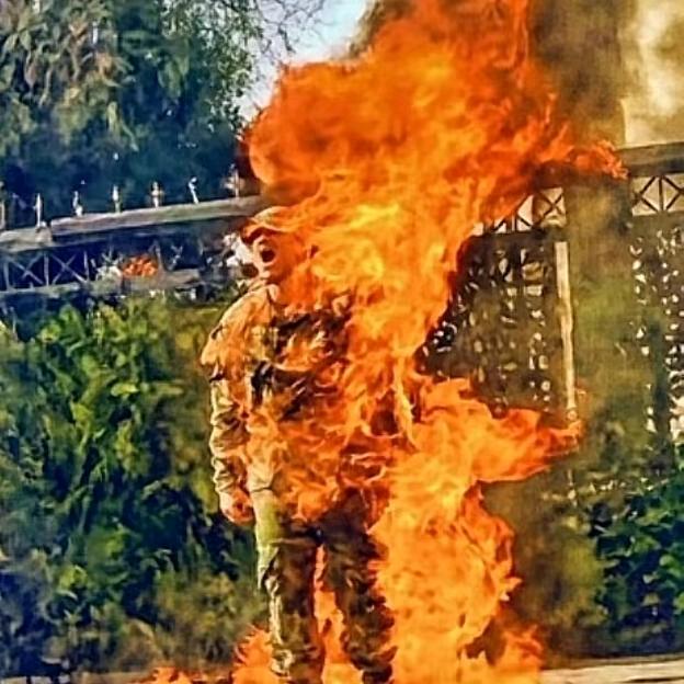 无可奈何花落去