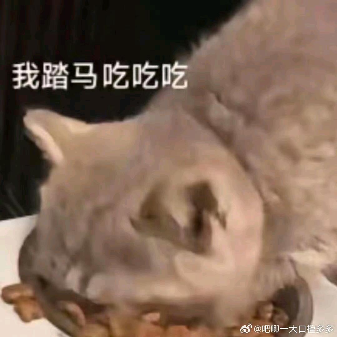 lila的英语碎碎念🤳