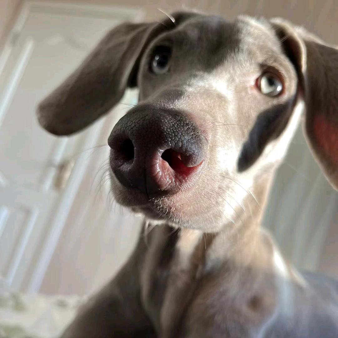 爱野钓的无人机飞手（小蒋）