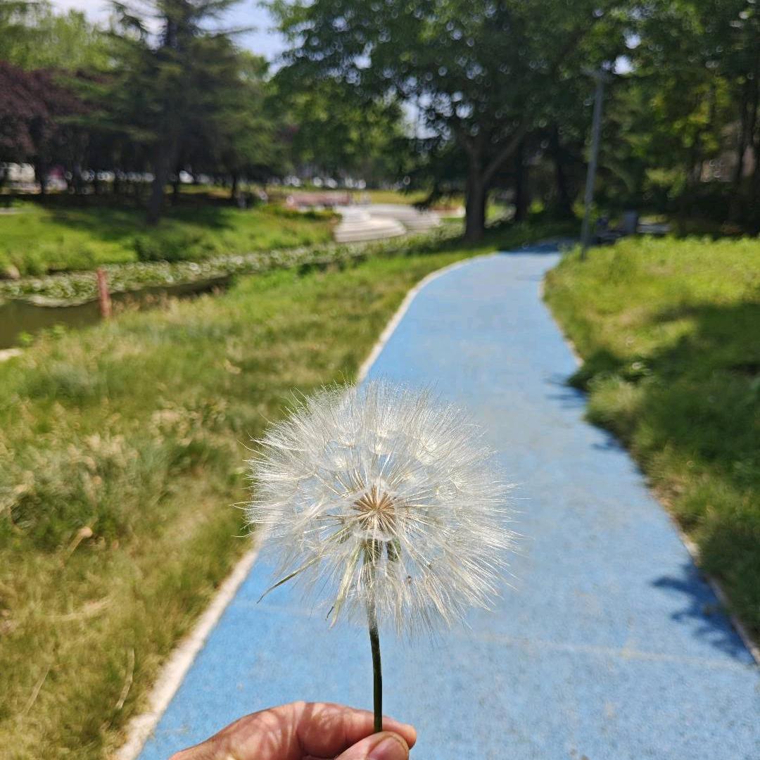 乾坤无极多宝道人