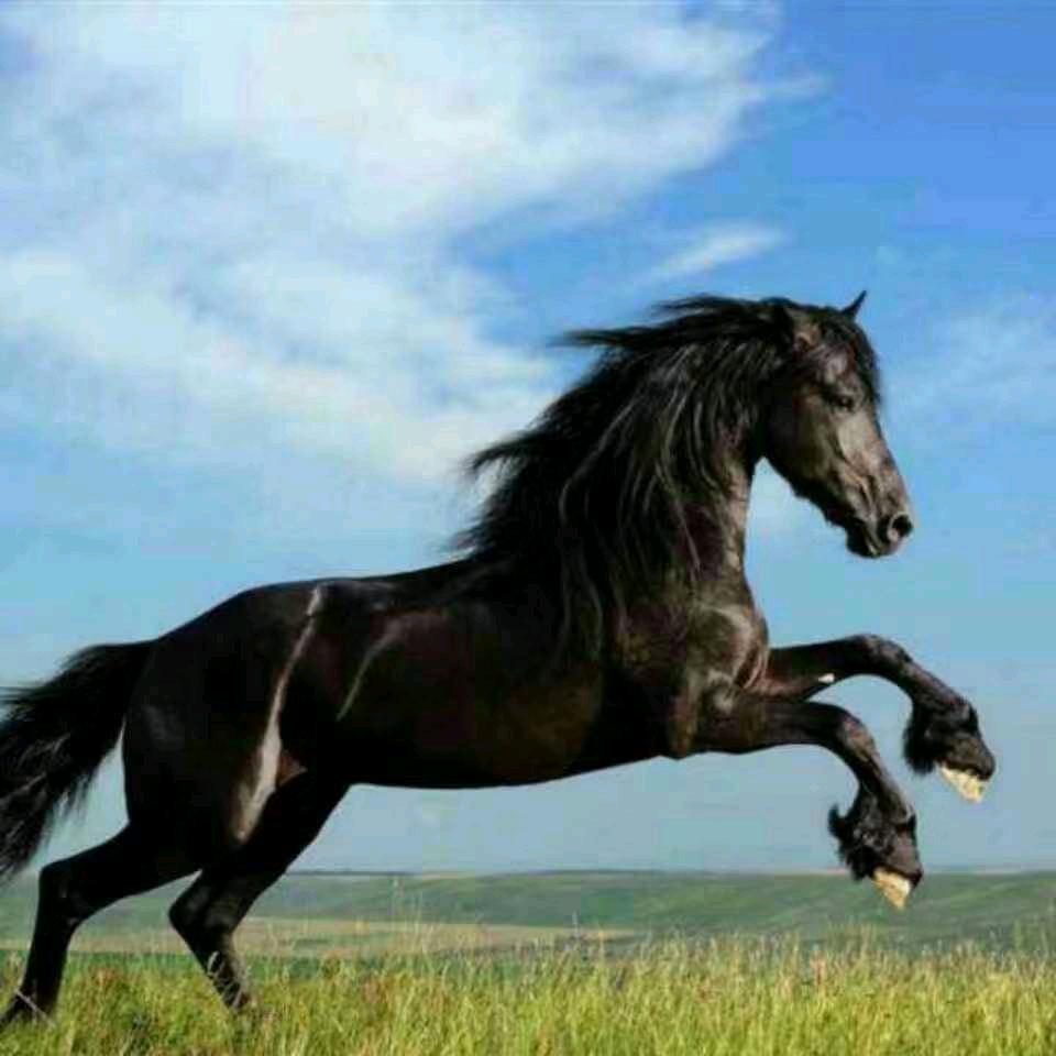 一人、一车、一世界✧*。٩(ˊωˋ*)و