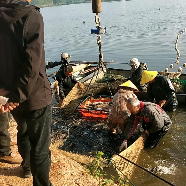 风风火火110