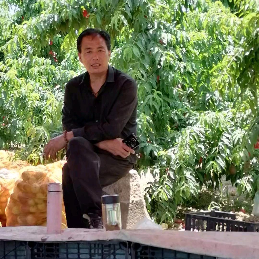 吴建平