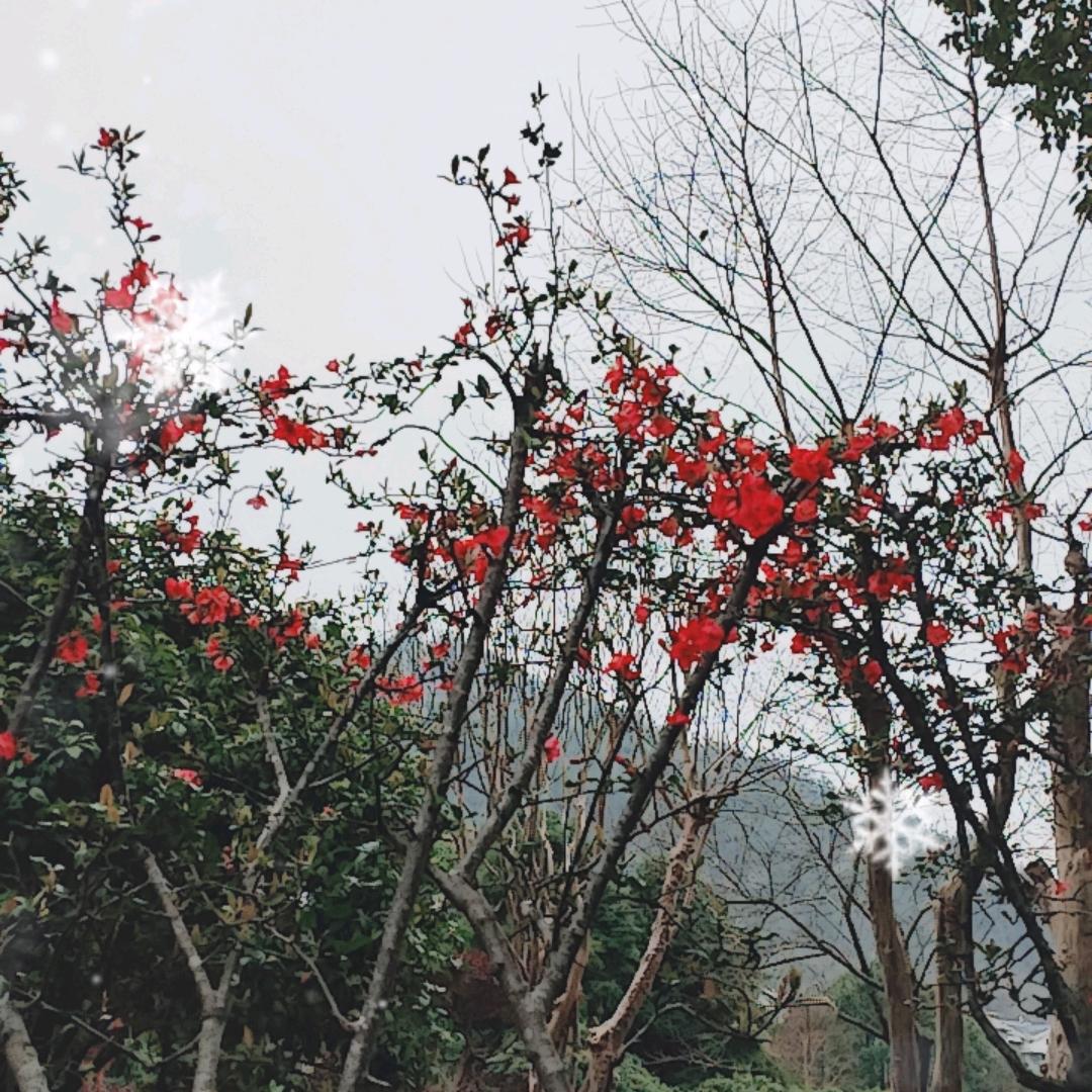 平安健康快乐