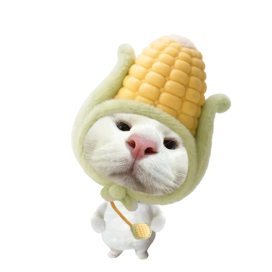 打捞日出