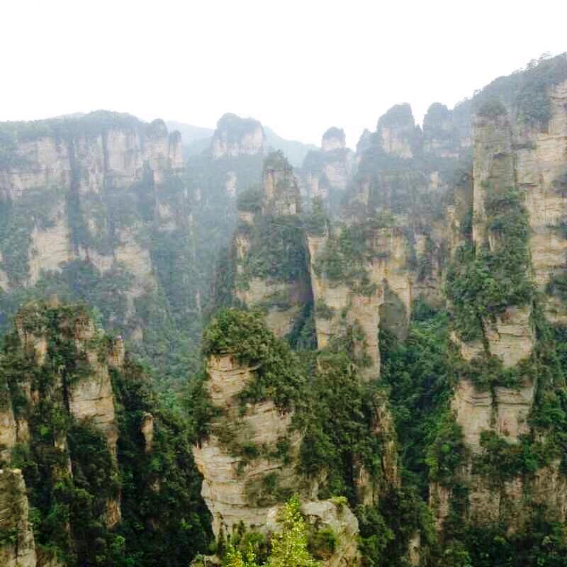 浙江王哥