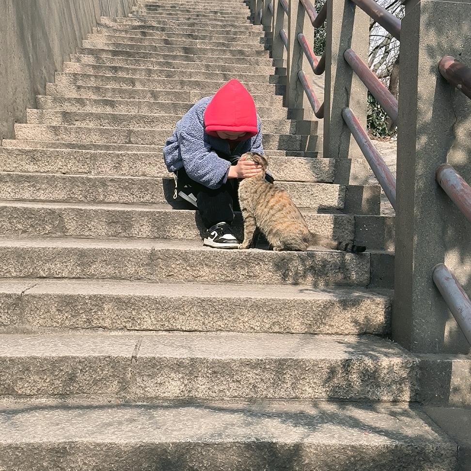 一米阳光，几度温暖🌹🌹🌹