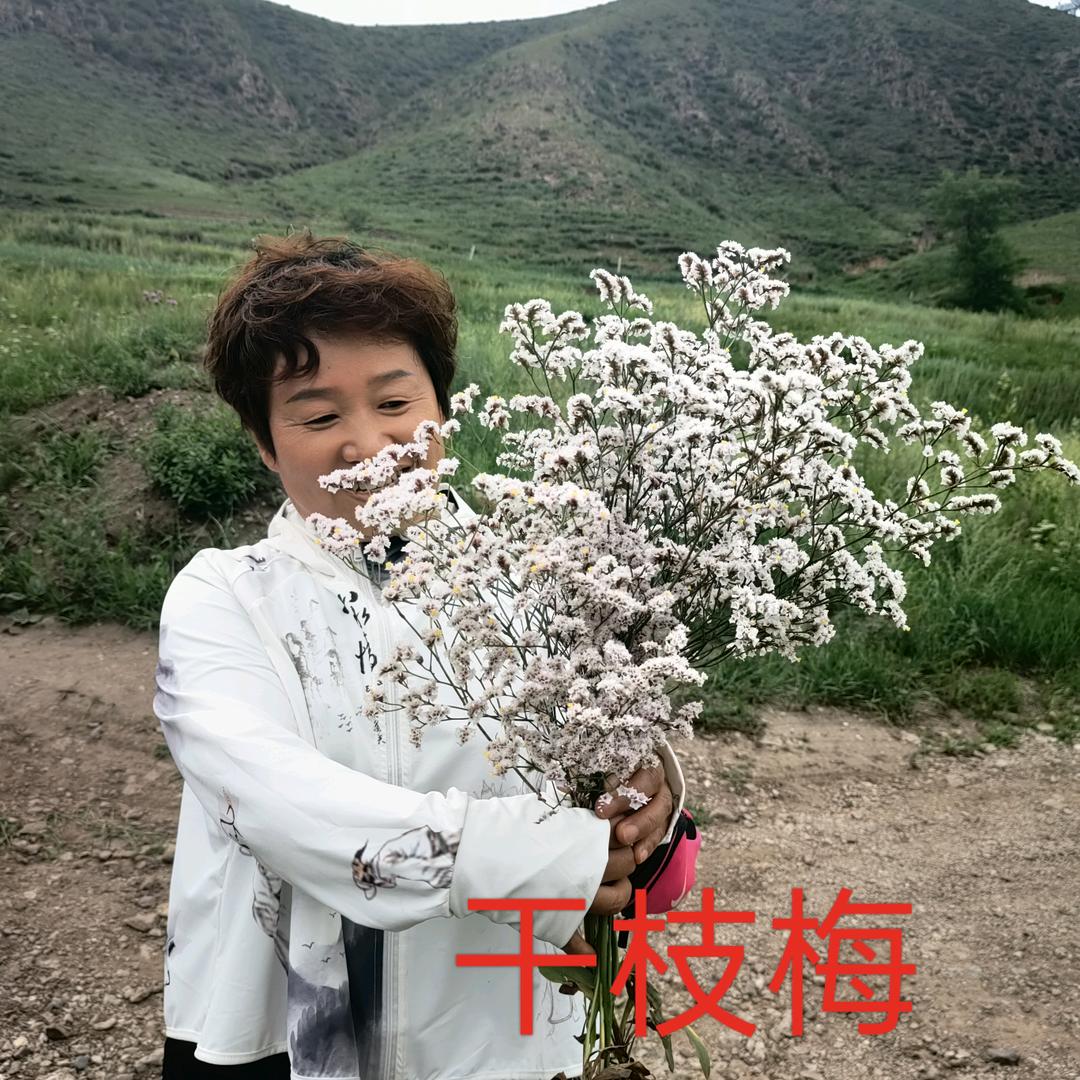金线重楼