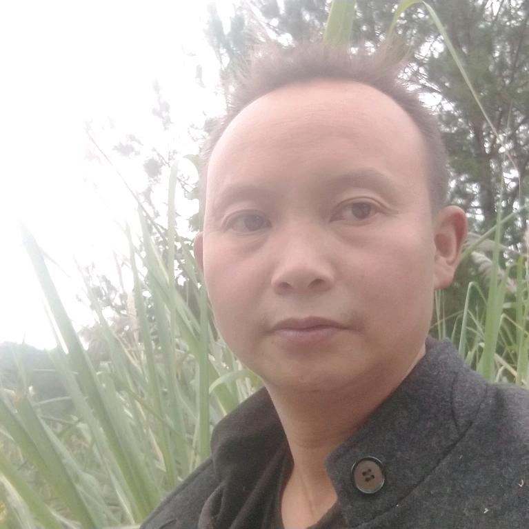 《单身遇红颜》出售纯绿色土鸡蛋土蜂蜜等