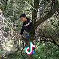 偷心的鱼儿