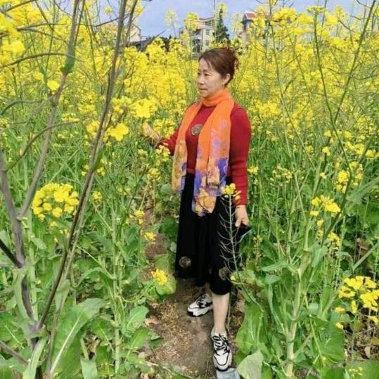 无忧无虑'😀69年 属鸡