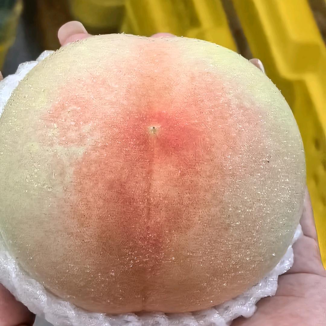 海南植发