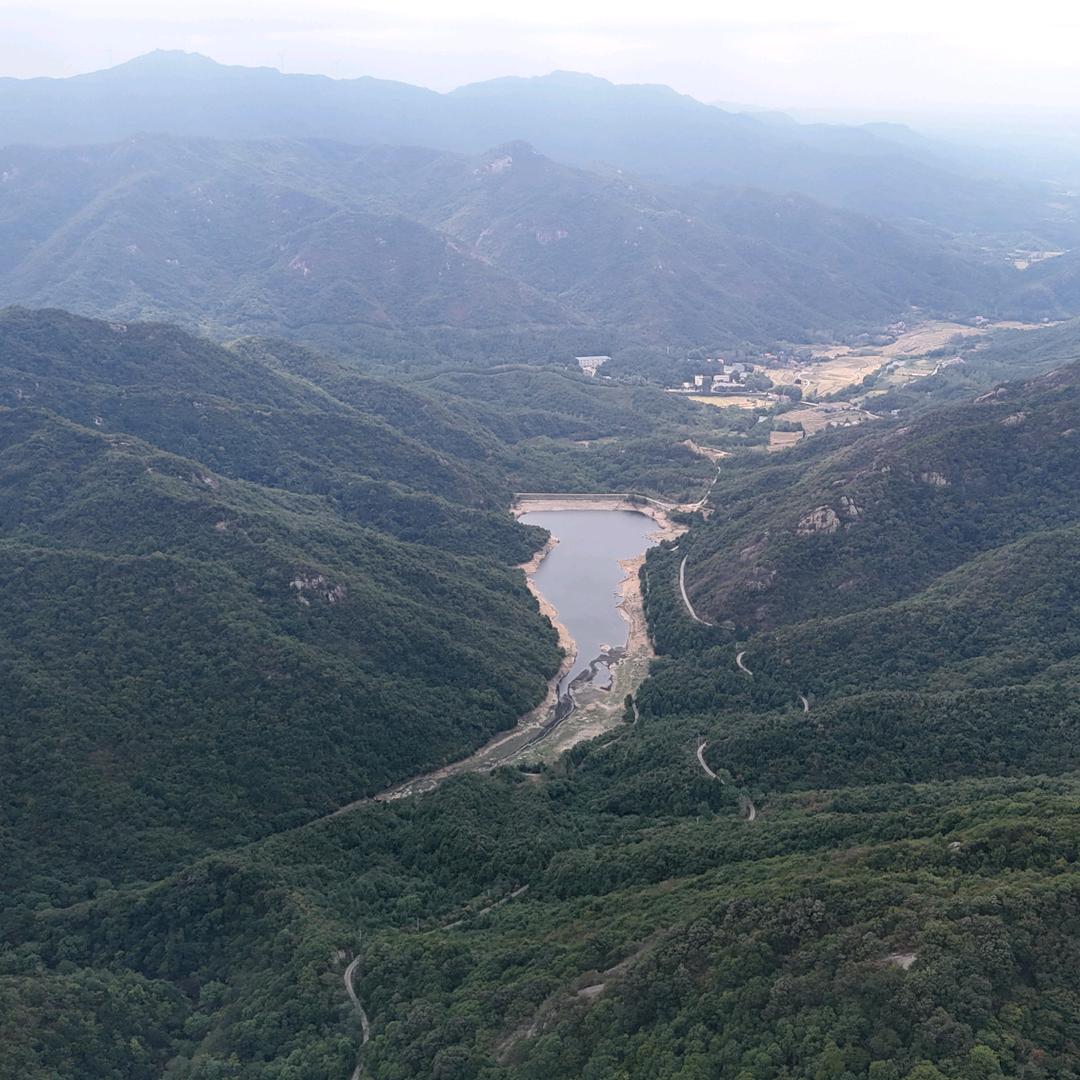 海树